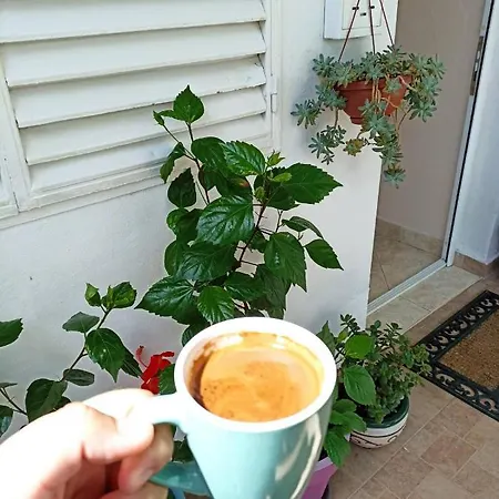 Kiwi דירה בודווה